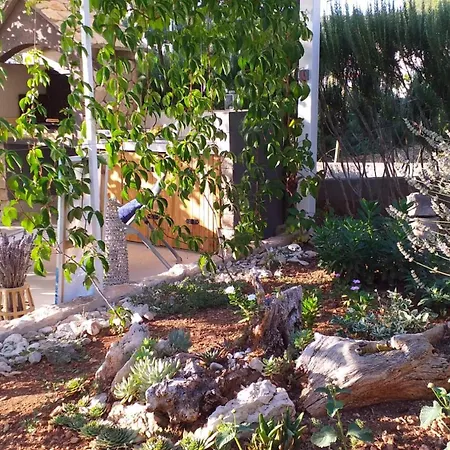 Art Amphora And Casa de hóspedes Rava