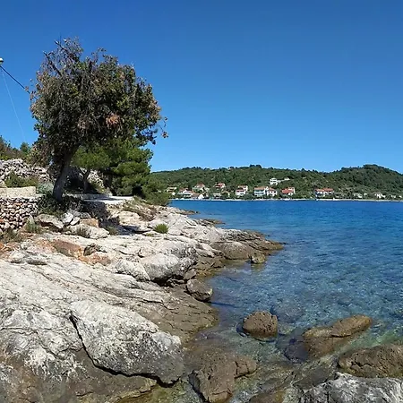 Art Amphora And Gasthuis Rava