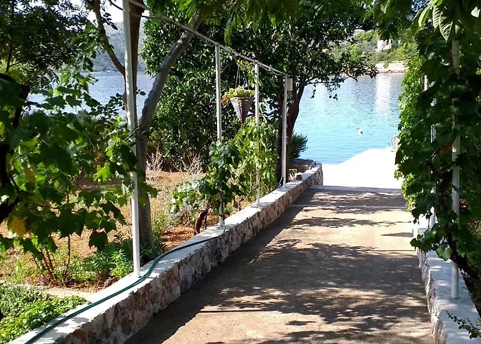 Gasthuis Art Amphora And 3*