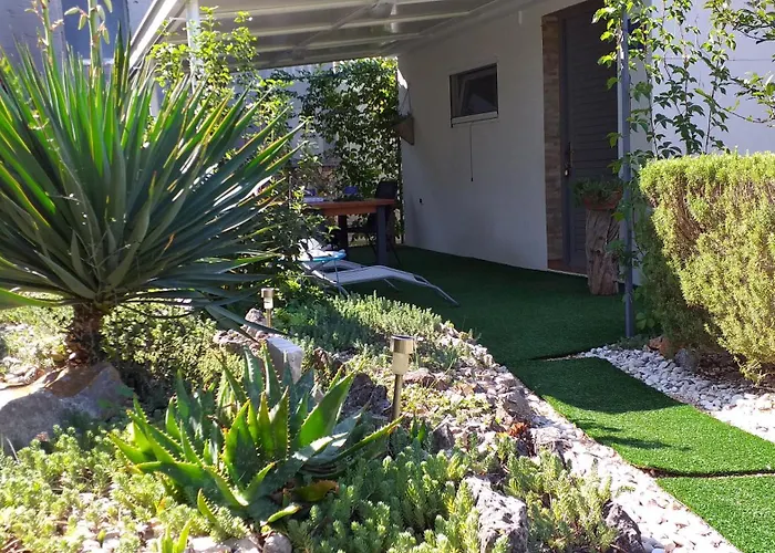 Gasthuis Art Amphora And 3*