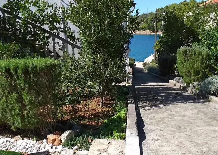 Art Amphora And 3* Rava