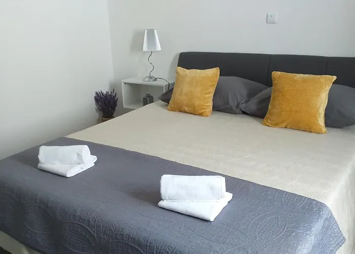 Gasthuis Art Amphora And Rava