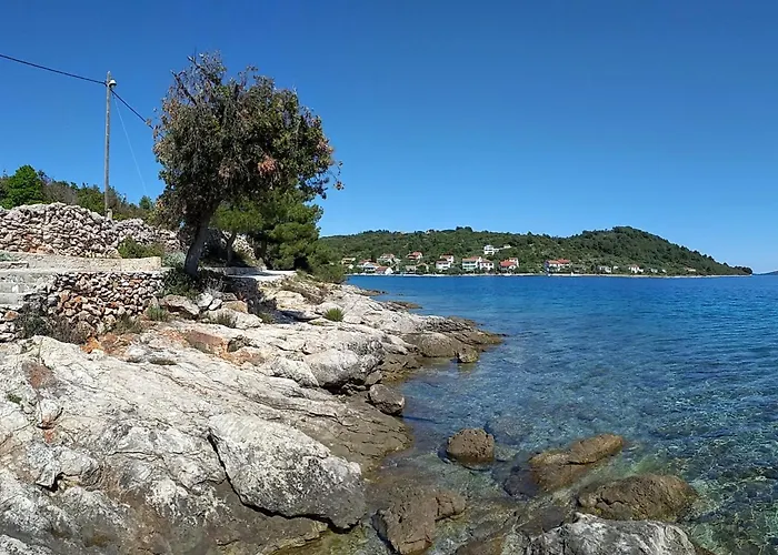 Art Amphora And Gasthuis Rava